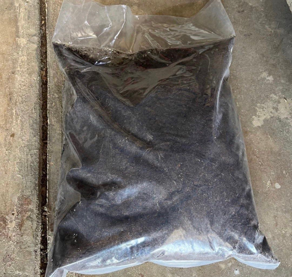 Peat Moss (5L)